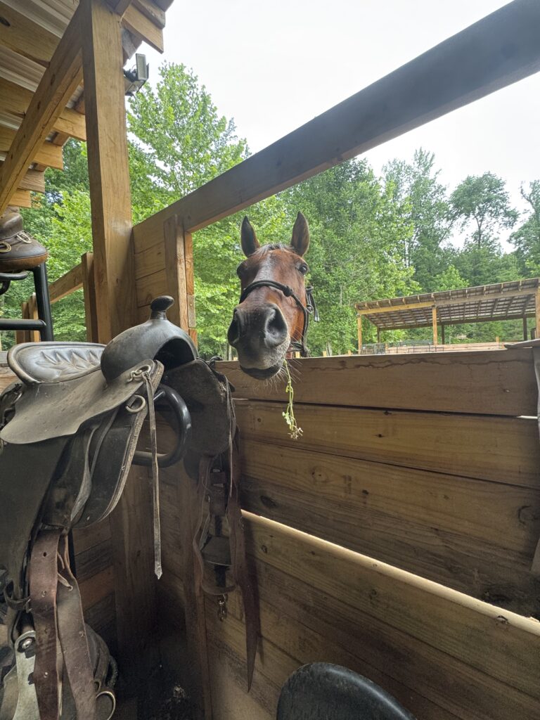 Donate img 1348